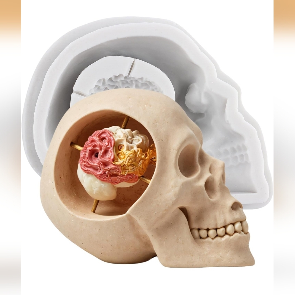 Anatomical Skull Brain Silicone‎ Mold Resin Candle Soap DIY Craft Tool White